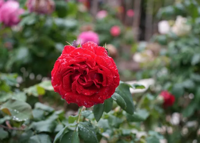 Dream In 2020 Renovated, Sunny Apartament Kavala