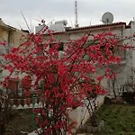 Dream In 2020 Renovated, Sunny Διαμέρισμα