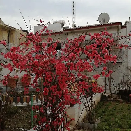 Dream In 2020 Renovated, Sunny Appartamento