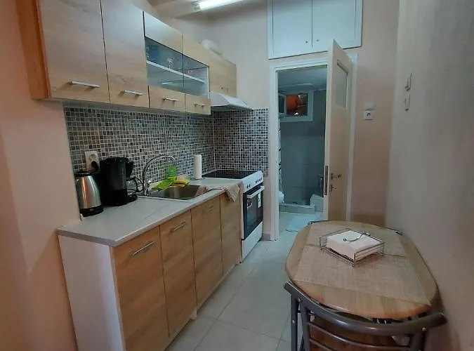 Dream In 2020 Renovated, Sunny Appartement
